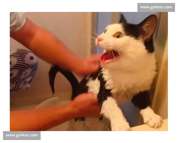 躲过重击，我便成你克星